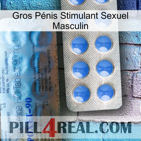 Gros Pénis Stimulant Sexuel Masculin 40